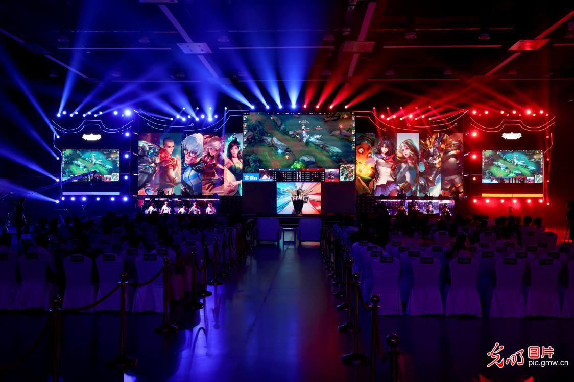 经济和政治 经济和政治