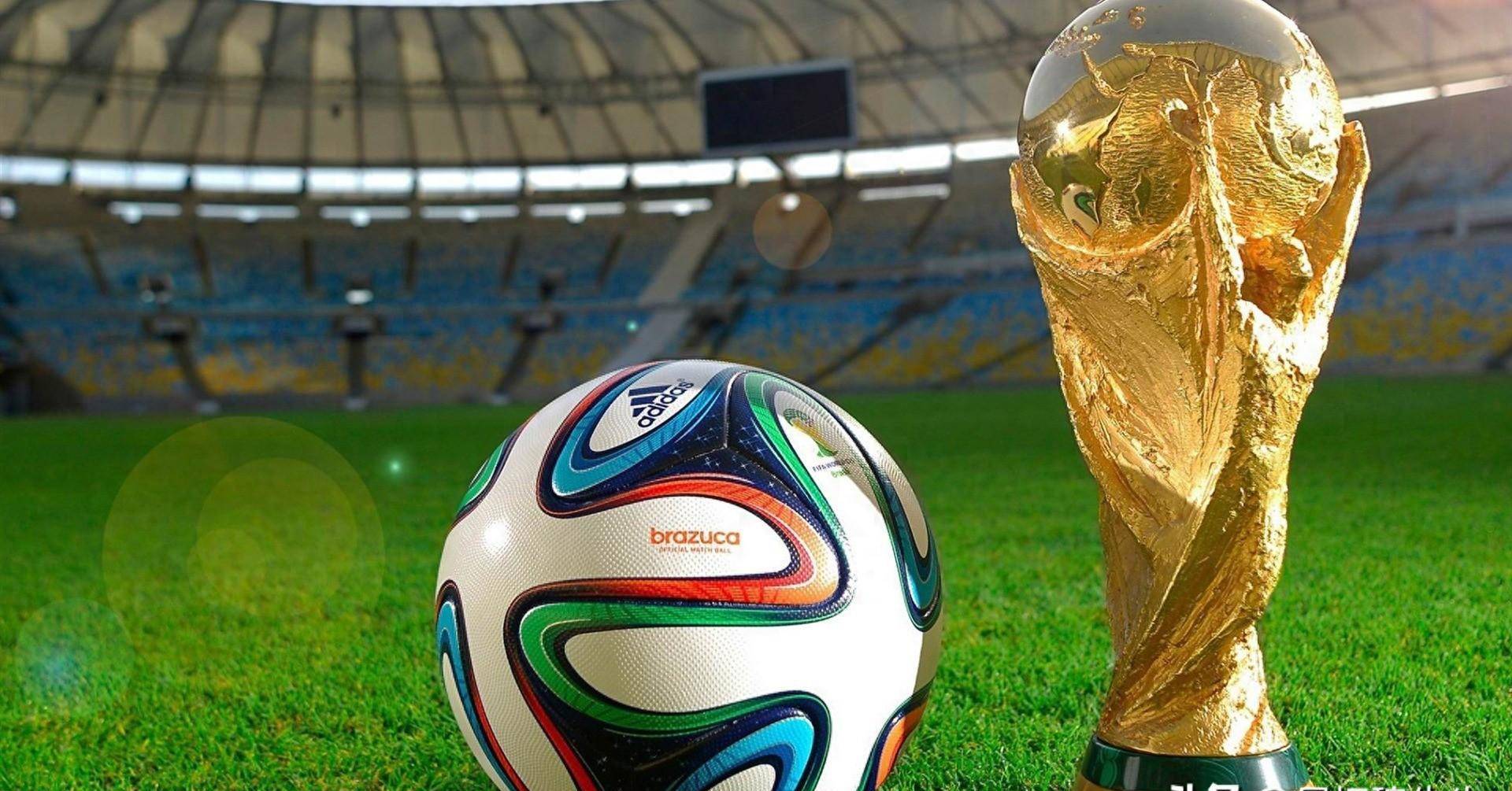 界的新星 界的新星