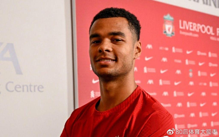 总决赛的紧 总决赛的紧